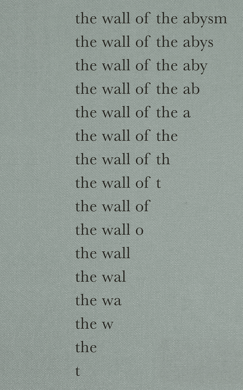 The Wall Of The Abysm / La Pared Del Abismo. Nuria Fuster